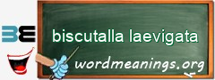 WordMeaning blackboard for biscutalla laevigata